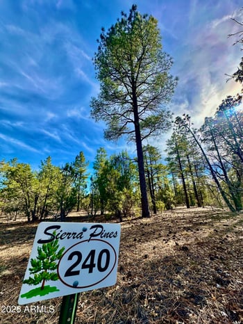 321 Aspen Trl #240, Show Low, AZ 85901