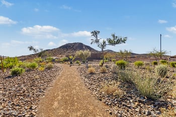 32106 133rd Ave, Peoria, AZ 85383