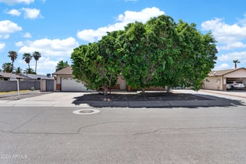 3222 Sean Dr, Chandler, AZ 85224
