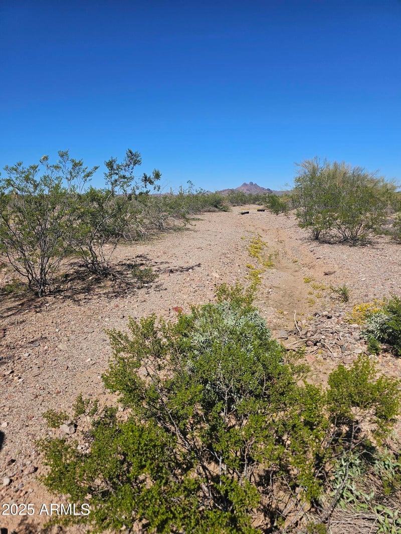 32300 Painted Wagon Trl #50, Wittmann, AZ 85361