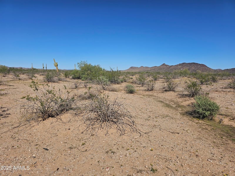32300 Painted Wagon Trl #50, Wittmann, AZ 85361