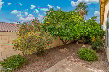 3231 Northern Cross Trl, Tucson, AZ 85742