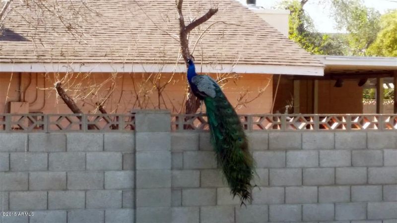 3242 E Flower St, Phoenix, AZ 85018