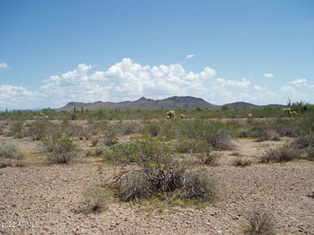 32820 Painted Wagon Trl #59, Unincorporated County, AZ 85390