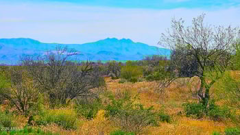 32833 137th St #-, Scottsdale, AZ 85252