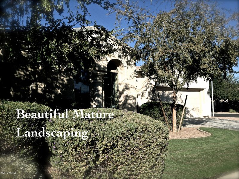 3286 E Raven Ct, Chandler, AZ 85286