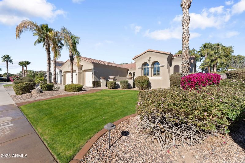 3290 E Cherrywood Pl, Chandler, AZ 85249