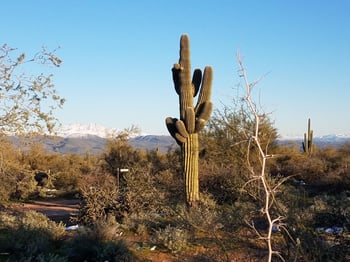 32XXX 162nd St #F, Scottsdale, AZ 85262