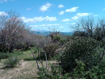 32XXX 162nd St #F, Scottsdale, AZ 85262