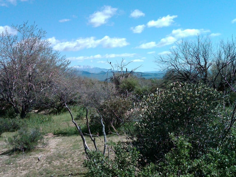 32XXX 162nd St #F, Scottsdale, AZ 85262