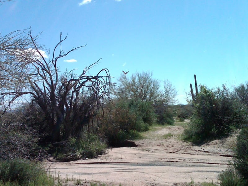 32XXX 162nd St #F, Scottsdale, AZ 85262