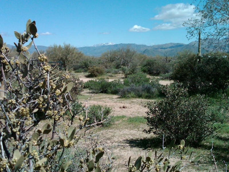 32XXX 162nd St #F, Scottsdale, AZ 85262