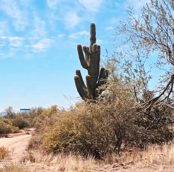 32XXX 162nd St #F, Scottsdale, AZ 85262