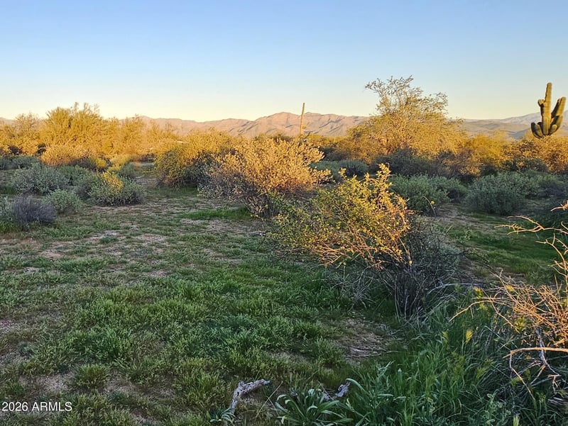 32XXX 162nd St #F, Scottsdale, AZ 85262