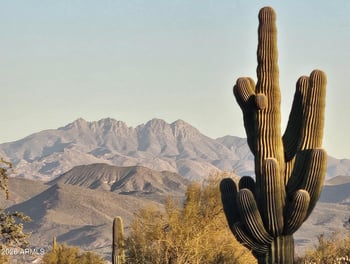 32XXX 162nd St #F, Scottsdale, AZ 85262