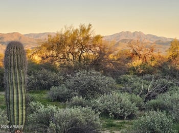 32XXX 162nd St #F, Scottsdale, AZ 85262