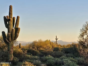 32XXX 162nd St #F, Scottsdale, AZ 85262
