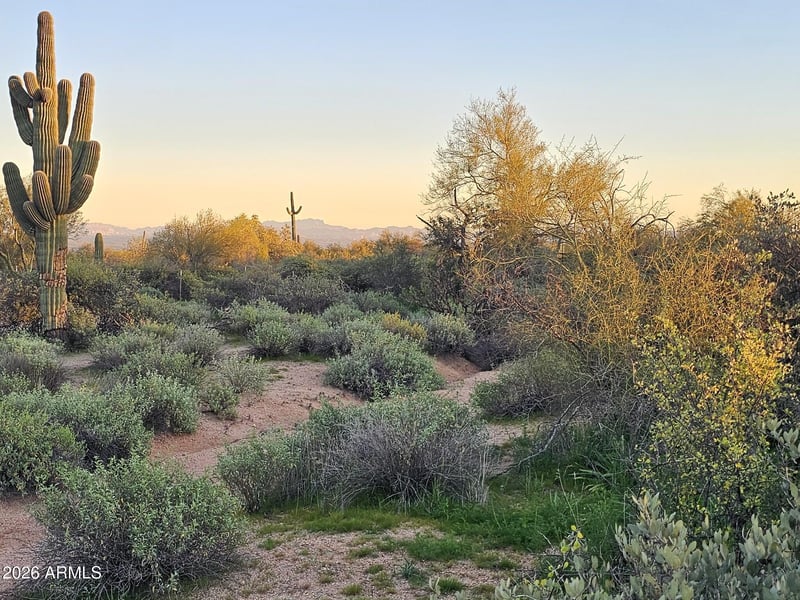 32XXX 162nd St #F, Scottsdale, AZ 85262
