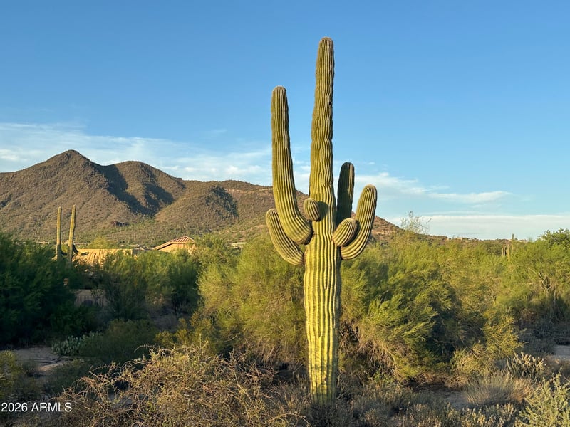 33000 Cave Creek Rd #-, Cave Creek, AZ 85331