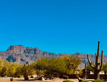 3301 Goldfield Rd #2064, Apache Junction, AZ 85119