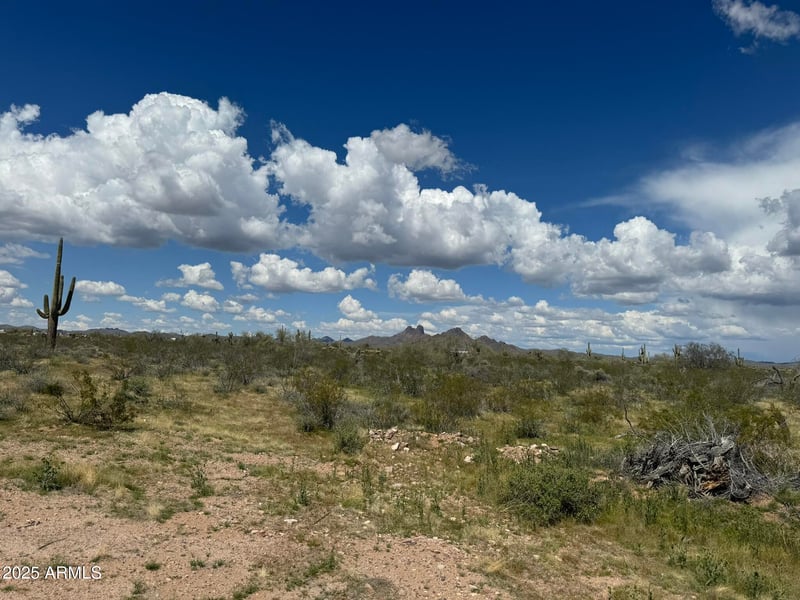 33098 Galvin St #64, Wickenburg, AZ 85390