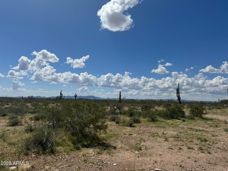 33098 Galvin St #64, Wickenburg, AZ 85390