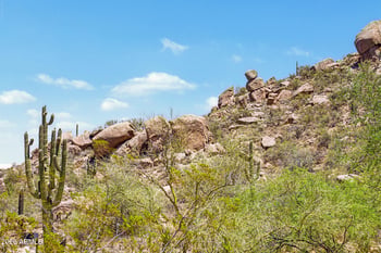 33111 72nd Way, Scottsdale, AZ 85266