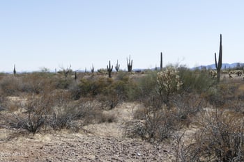 331xxx Cloud Rd #32, Wittmann, AZ 85361