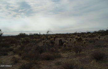 33239 Restin Rd #93, Unincorporated County, AZ 85390