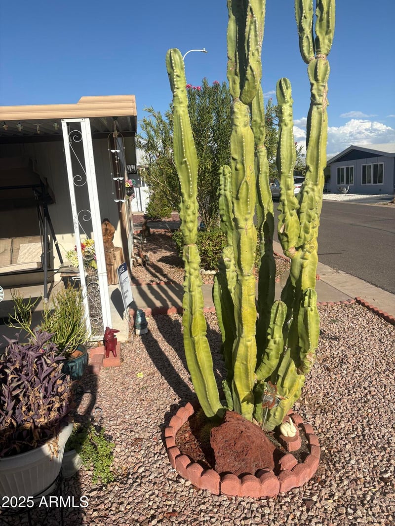 3330 Main St #448, Mesa, AZ 85213