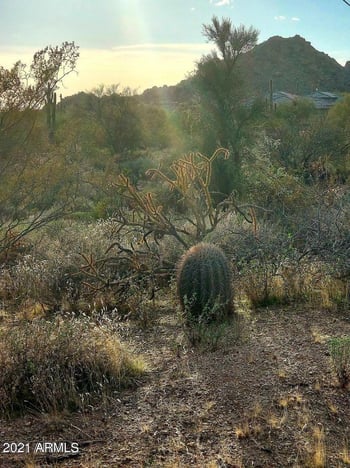 33345 81st St #-, Scottsdale, AZ 85266
