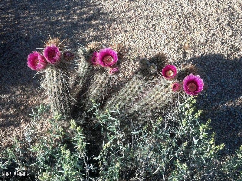 33345 81st St #-, Scottsdale, AZ 85266