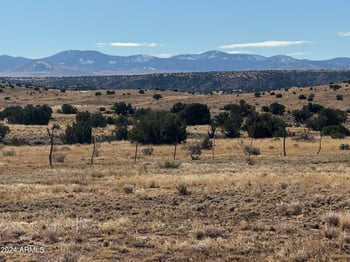 334 River Springs Ranch -- #334, St Johns, AZ 85936