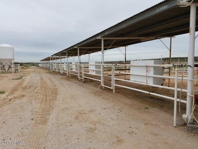 33412 W Narramore Rd, Arlington, AZ 85322