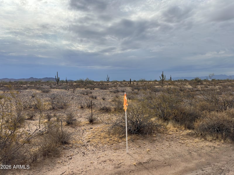 334xx Painted Wagon Trl #55, Wittmann, AZ 85361