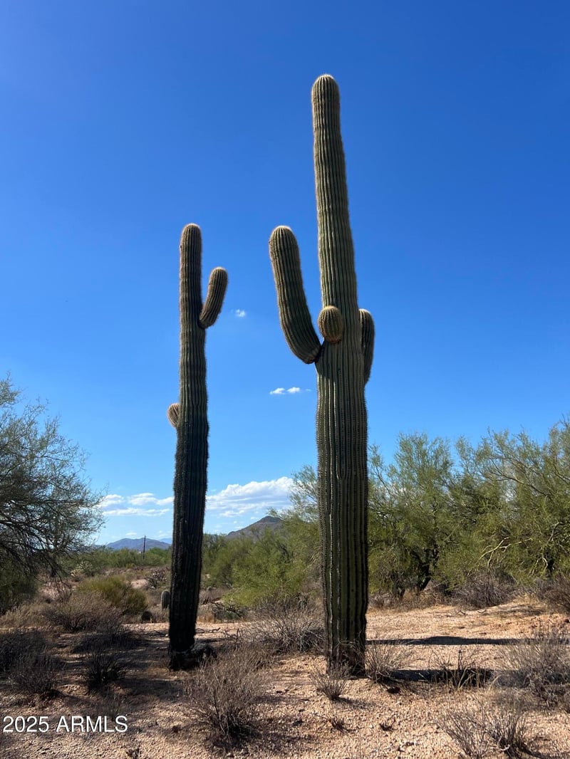 33501 55th St #-, Cave Creek, AZ 85331
