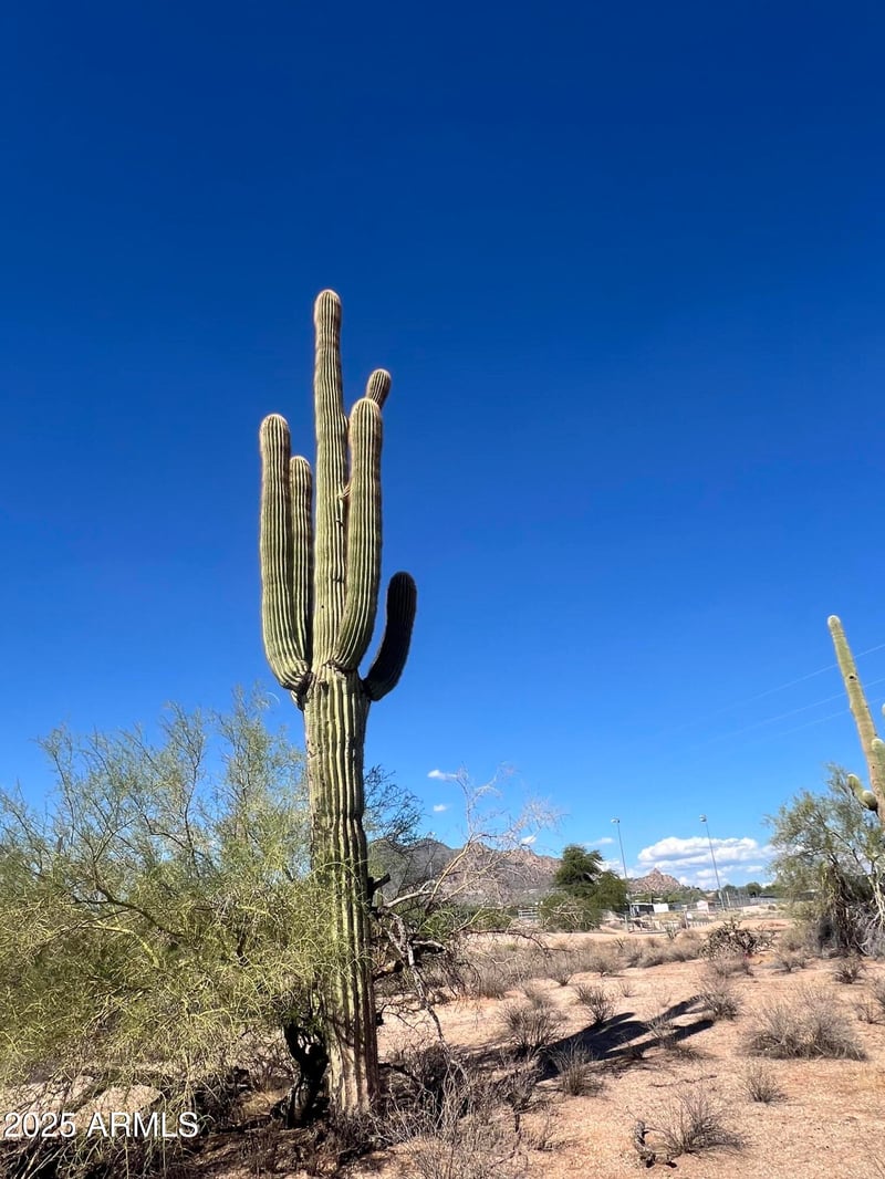33501 55th St #-, Cave Creek, AZ 85331