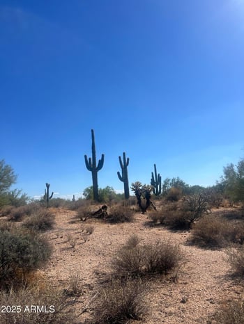 33505 55th St #-, Cave Creek, AZ 85331