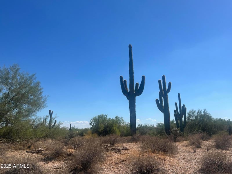 33505 55th St #-, Cave Creek, AZ 85331