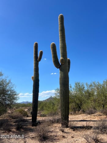 33505 55th St #-, Cave Creek, AZ 85331