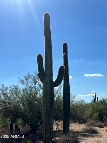 33510 56th St #-, Cave Creek, AZ 85331