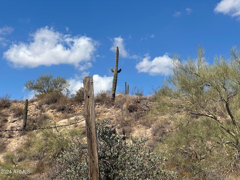 3353 Roughrider 5 Ac Rd #-, New River, AZ 85087
