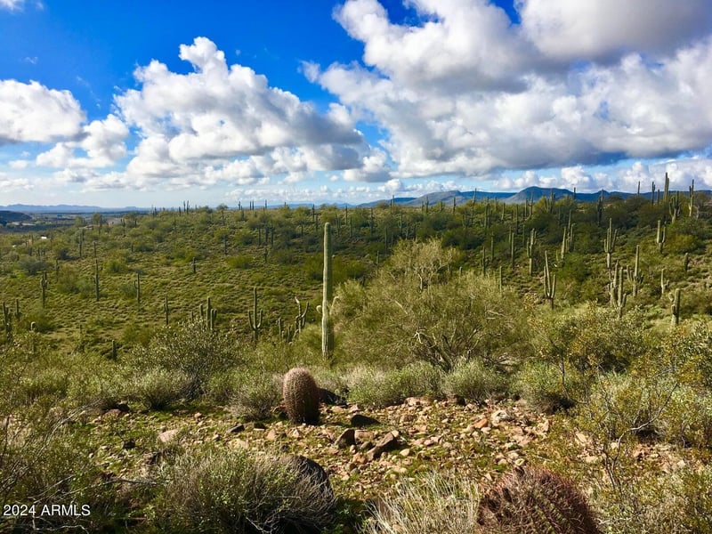3353 Roughrider 5 Ac Rd #-, New River, AZ 85087