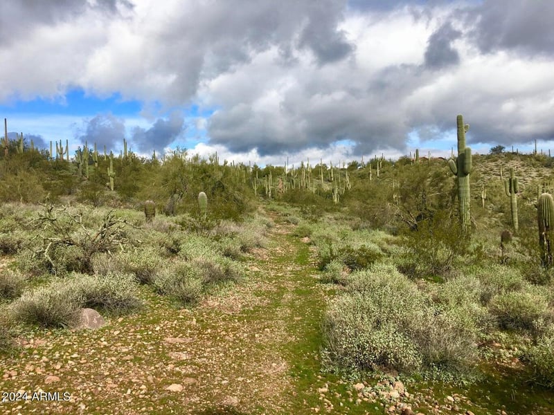 3353 Roughrider 5 Ac Rd #-, New River, AZ 85087