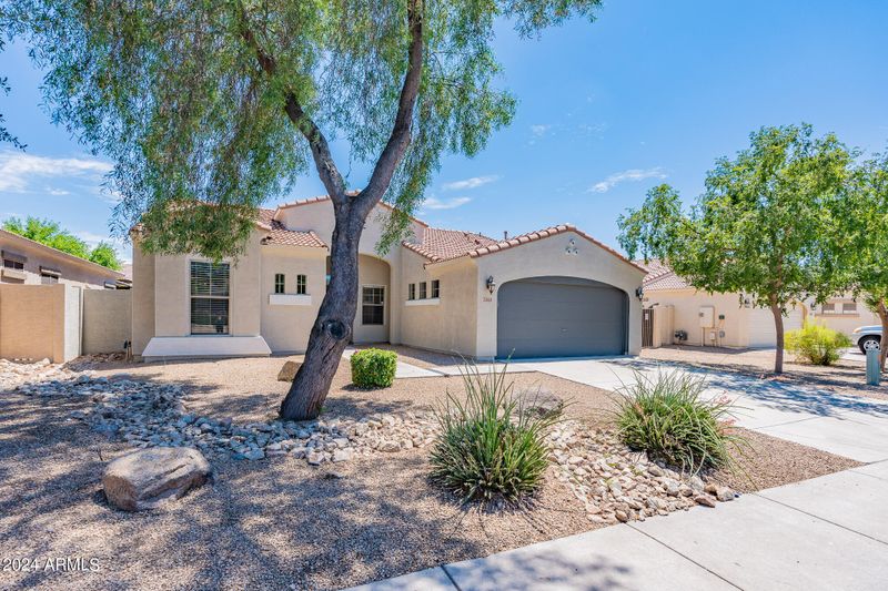3363 E Roadrunner Dr, Chandler, AZ 85286