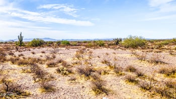 33639 Villa Cassandra Way #213, Wickenburg, AZ 85390