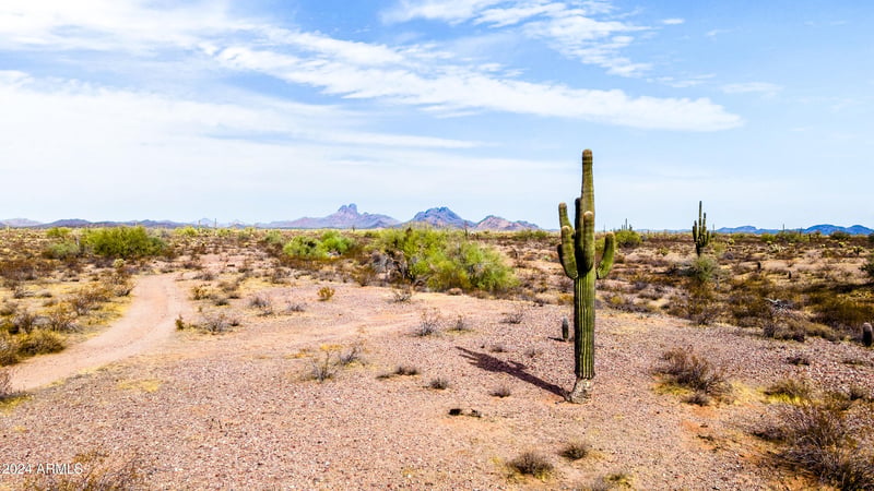 33639 Villa Cassandra Way #213, Wickenburg, AZ 85390
