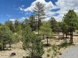 3372 Whisper Ln #153, Heber, AZ 85928