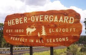 3372 Whisper Ln #153, Heber, AZ 85928