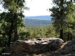 3378 Windy Ln #139, Heber, AZ 85928